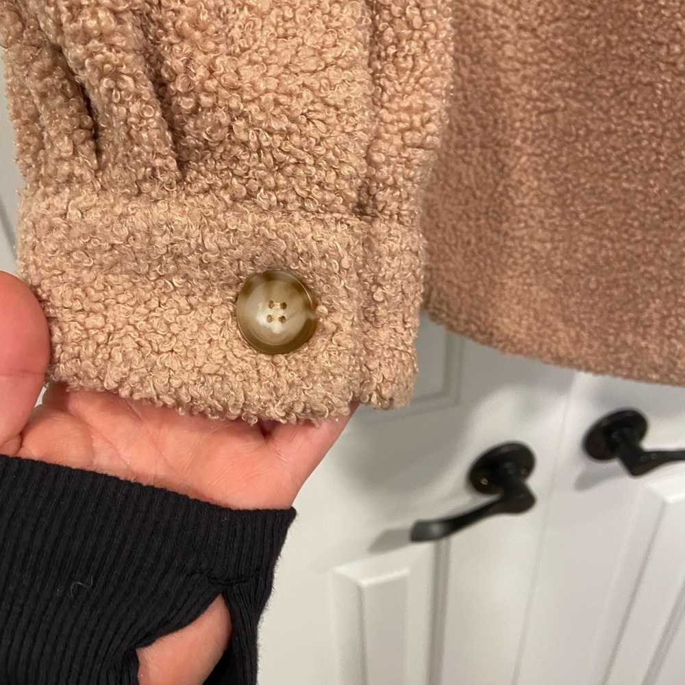 Teddy Shacket - image 6